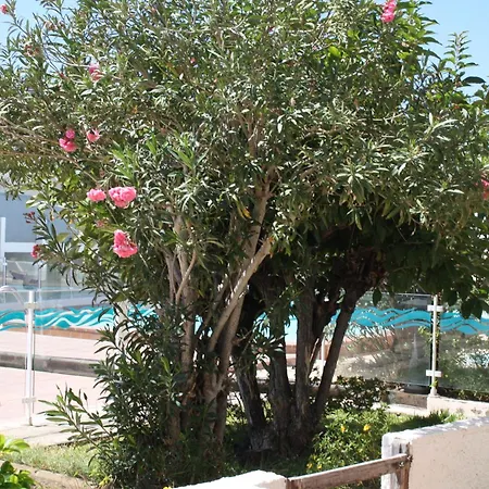 Appartamento Relax Con Cerca Del Mar